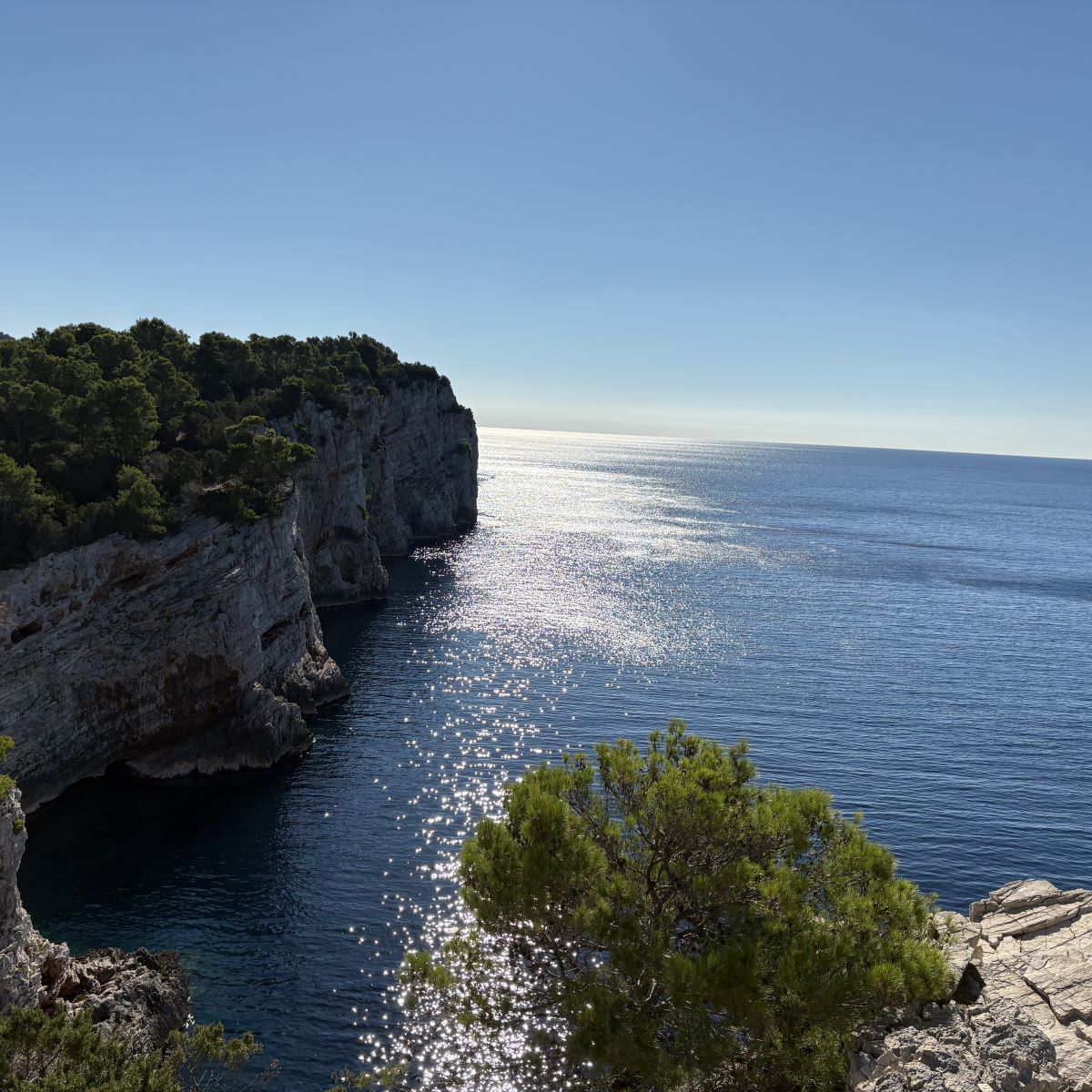 Medelhavet