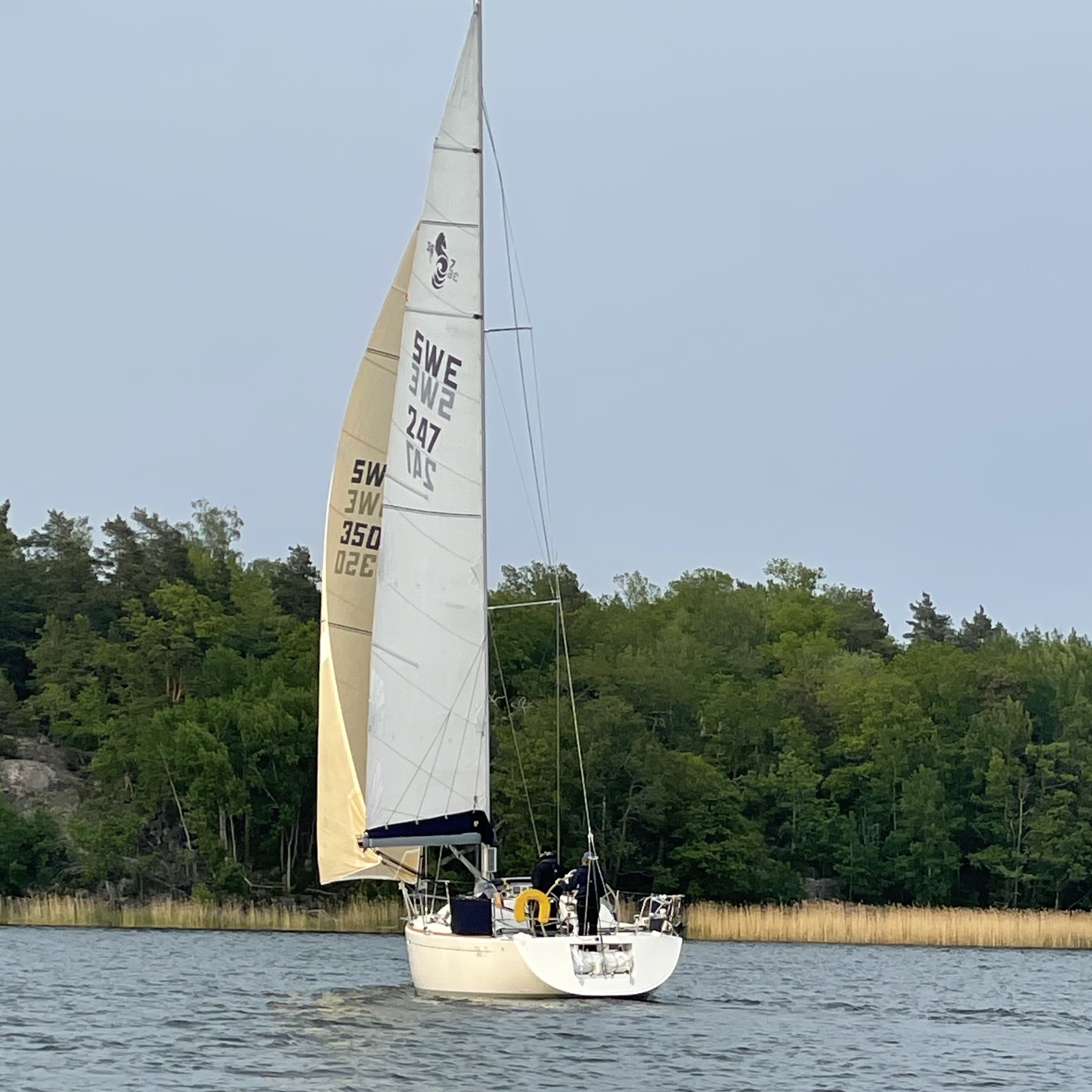 Segelbåt